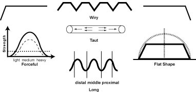 The Wiry Pulse