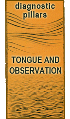 Tongue-Observation